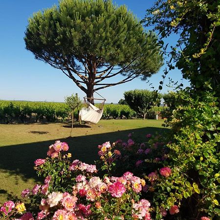 Bed and Breakfast Entre Loire Et Vignobles Lire Екстер'єр фото